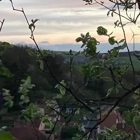 Grunes Paradies Frankfurt am Main